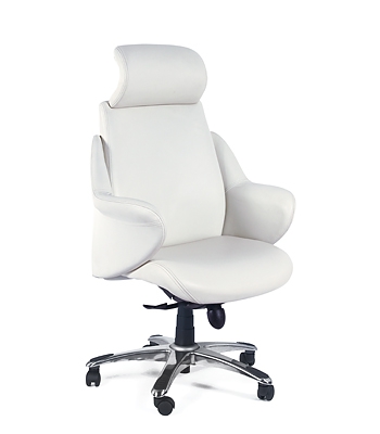 CHAIRMAN 446