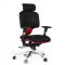 CHAIRMAN 425