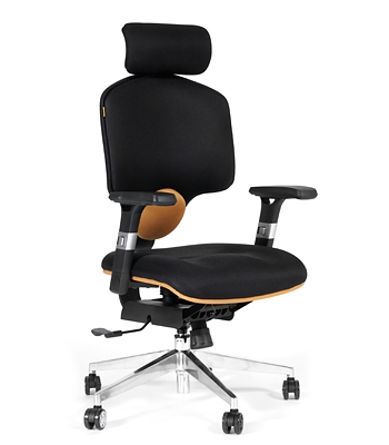 CHAIRMAN 425